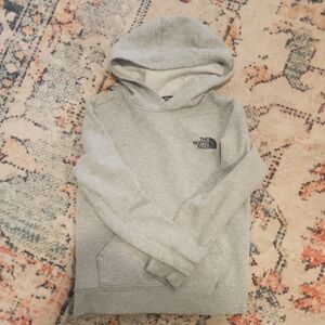 The North Face Men's Gray Hoodie Sweater